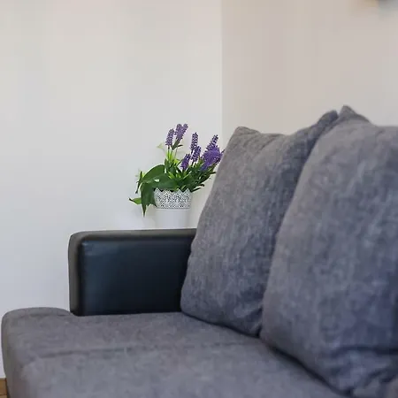 Matea Apartamento